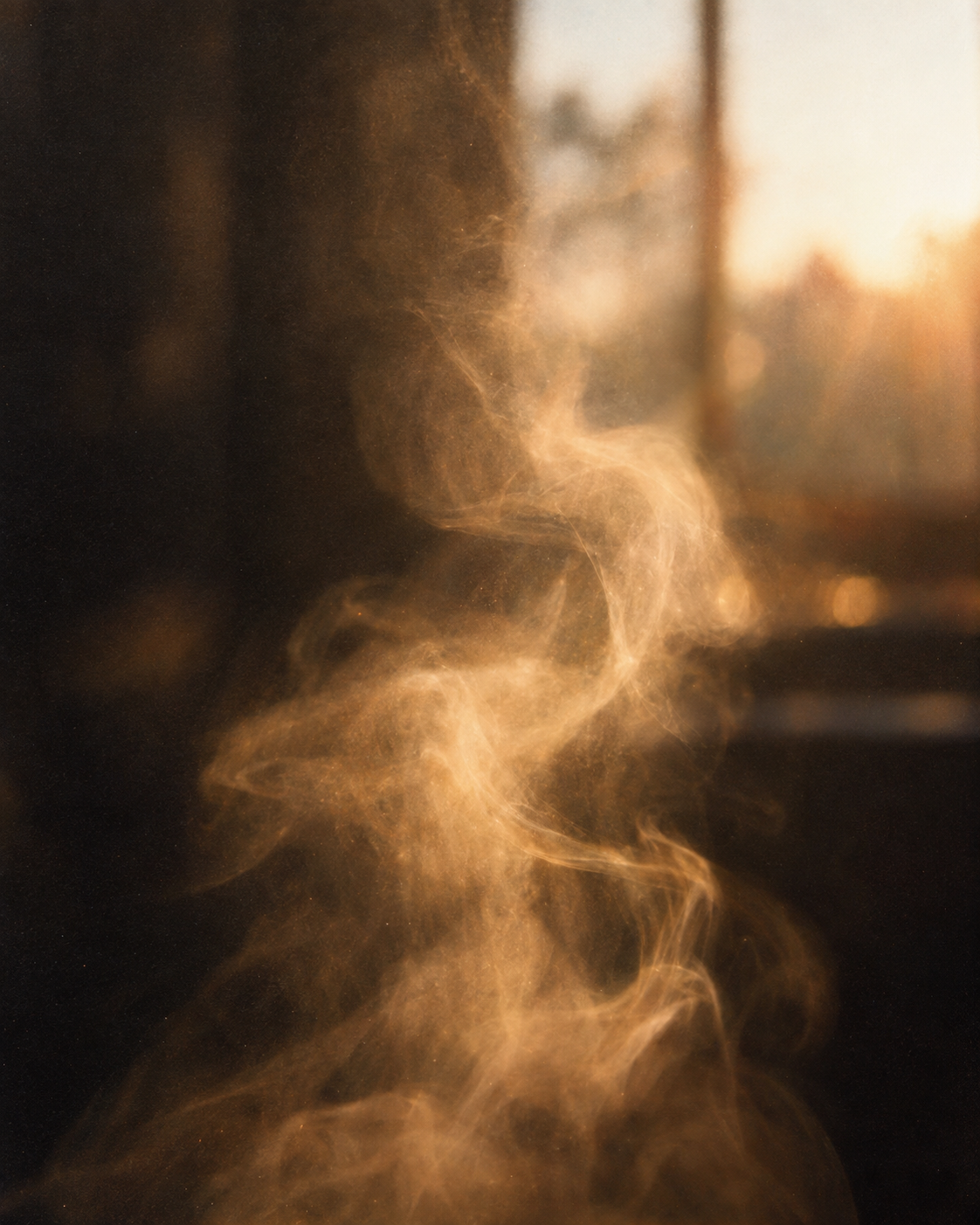 Steam rising from a cup in window light